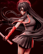 Shadow Blade Assassin | 1/6 Unpainted Resin Kit Model