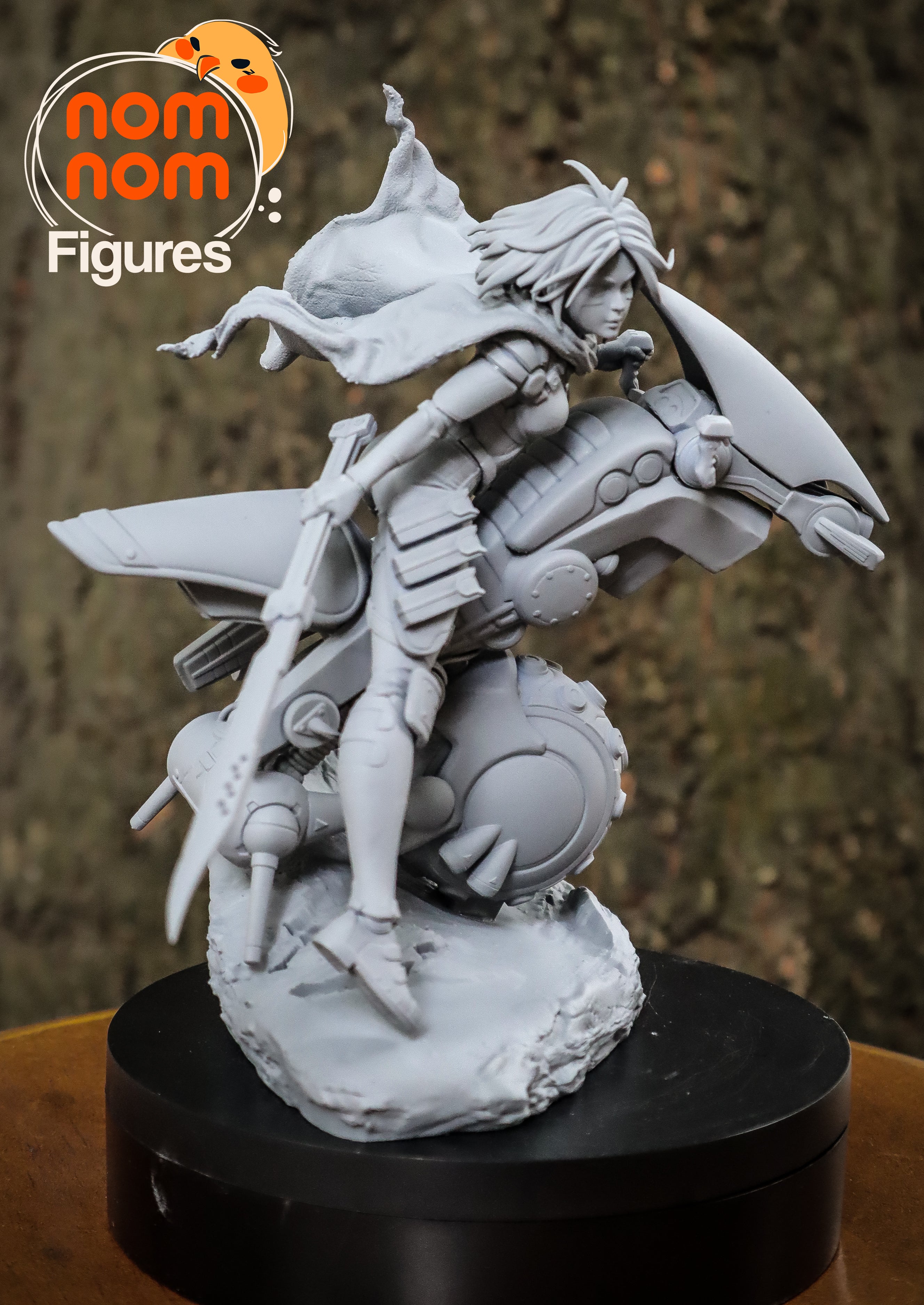 Stormrider Valkyrie | 1/10 Unpainted Resin Kit Model