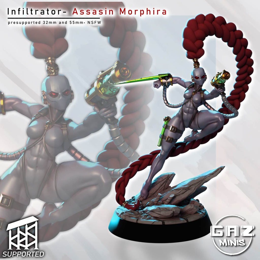 Crimson Braid Shadowstalker | 32mm & 55mm Unpainted Resin Kit Model