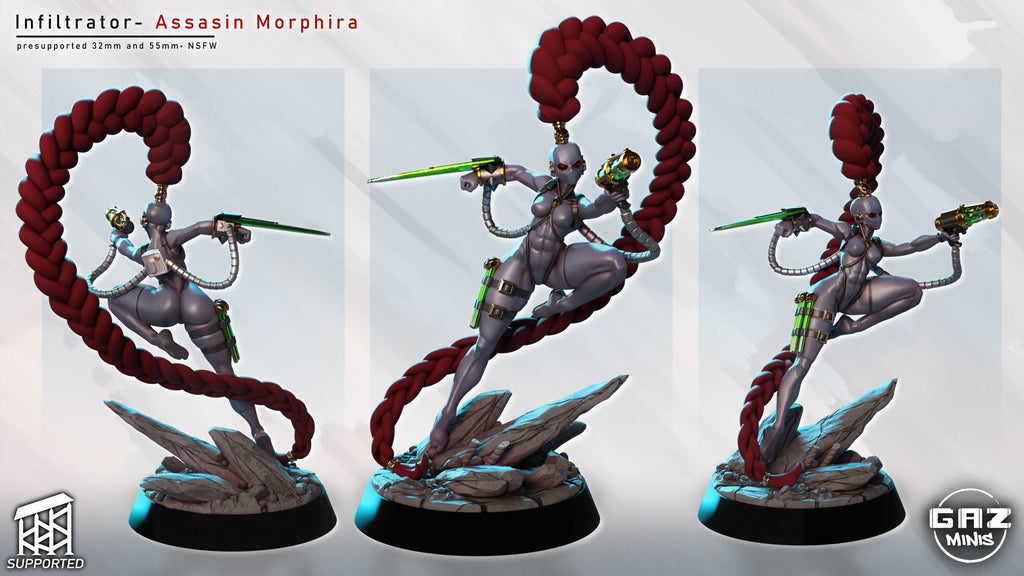 Crimson Braid Shadowstalker | 32mm & 55mm Unpainted Resin Kit Model